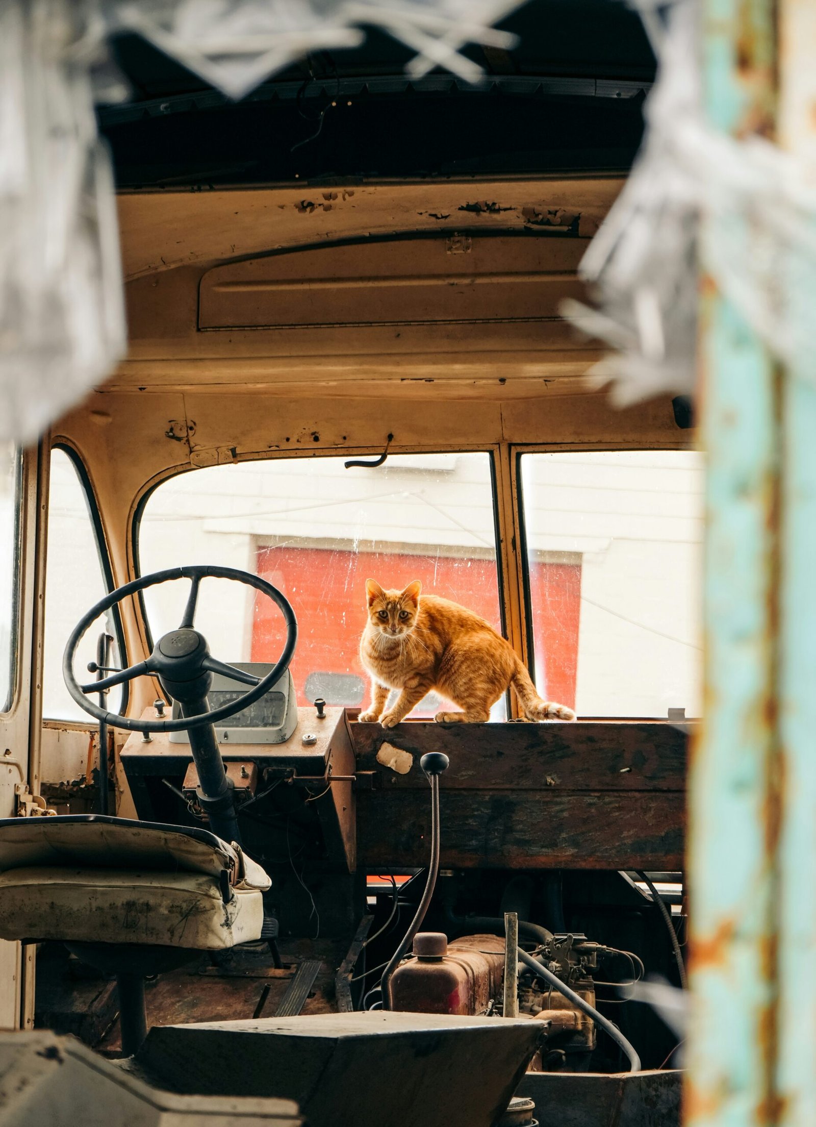Auto supirkimas Elektrėnuose – be ilgo laukimo.