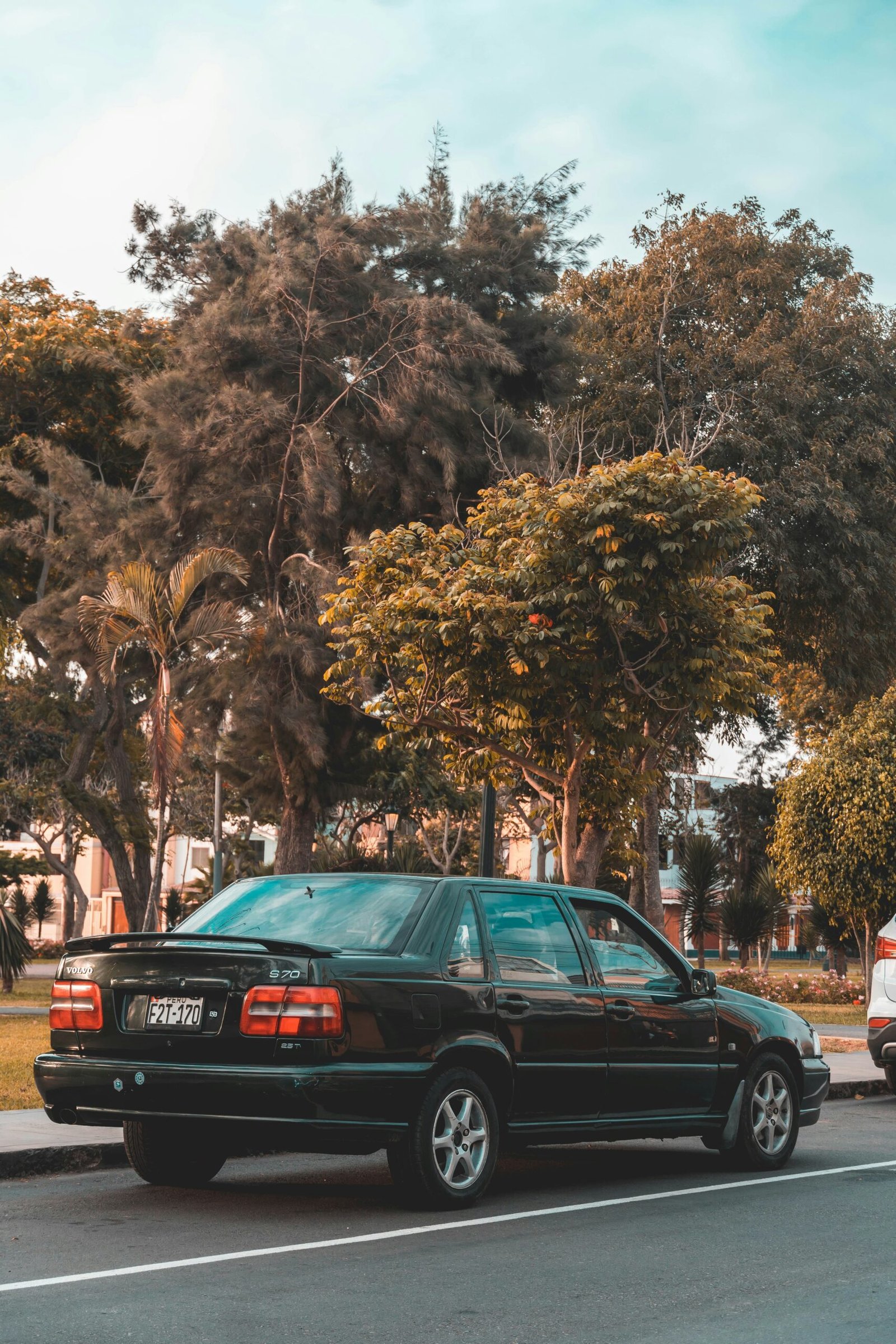 Auto pardavimas supirkimui Eišiškėse