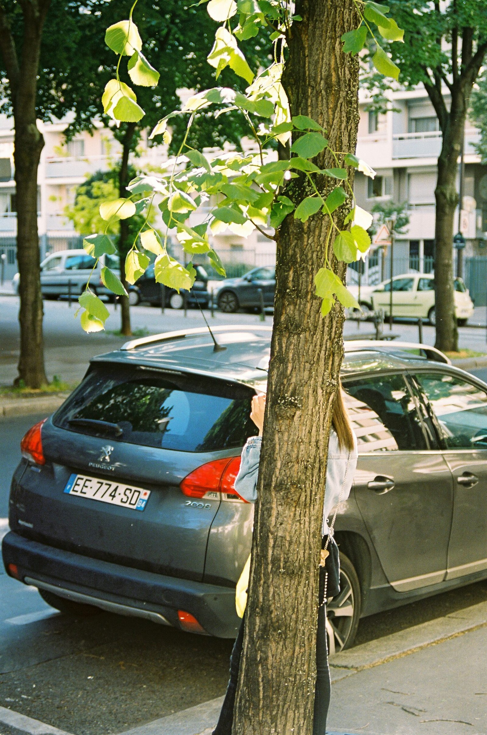 Automobilio pardavimas supirkėjui Varniuose