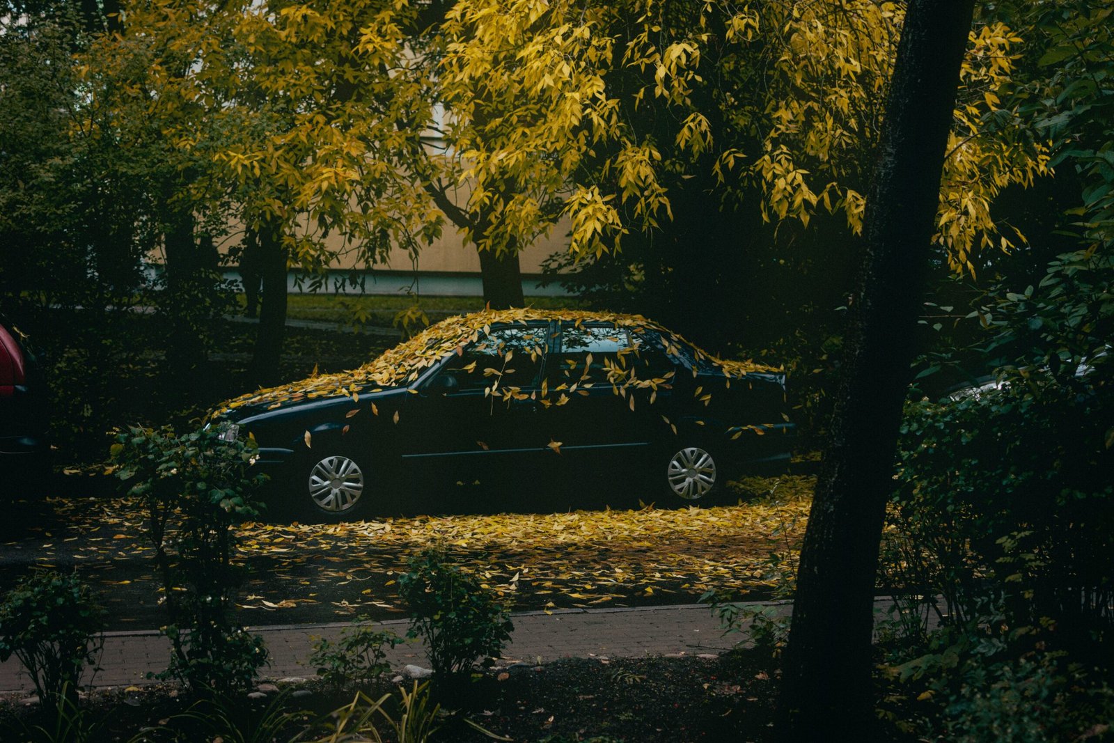 Automobilio pardavimas supirkėjui Ežerėlyje