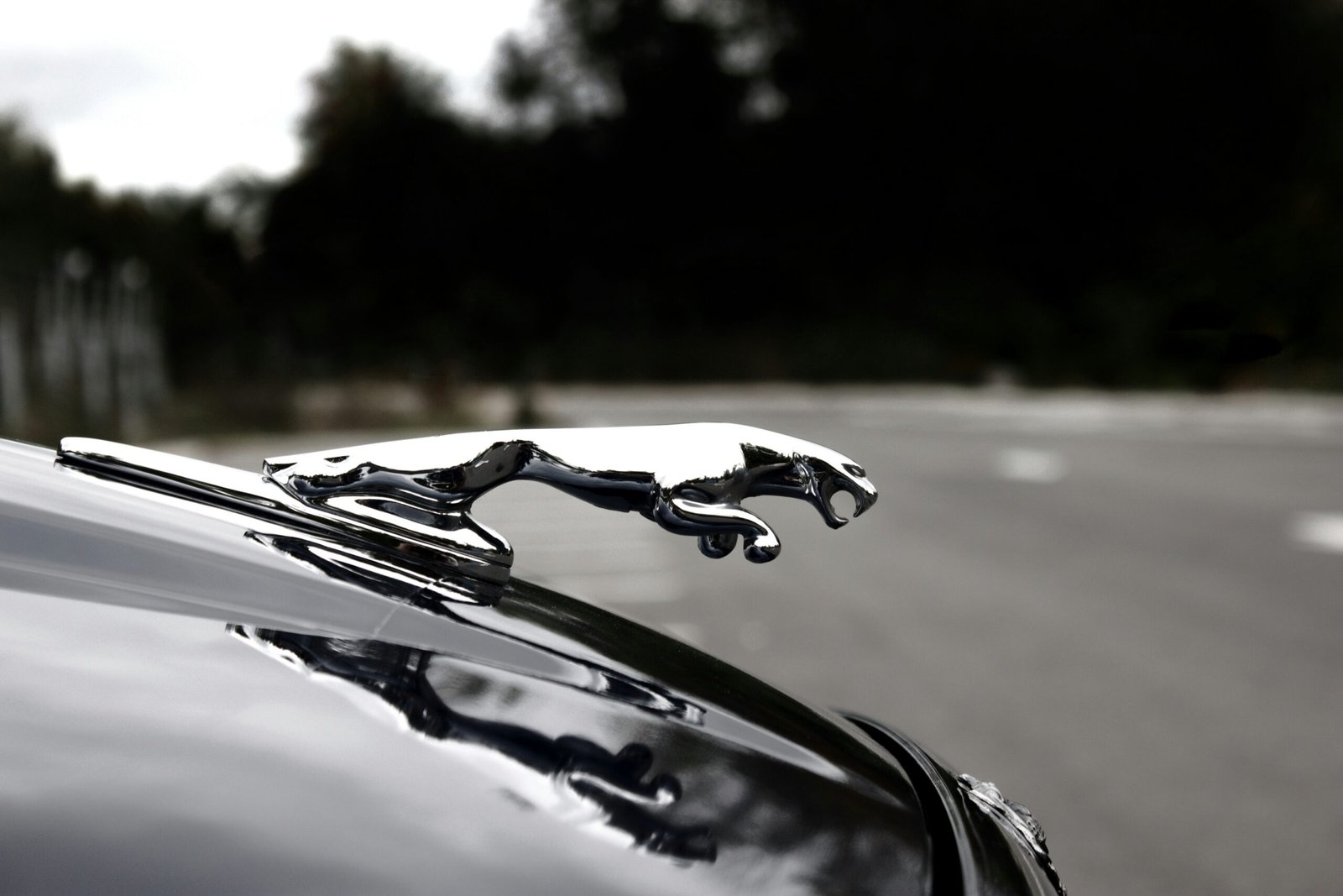 Jaguar supirkimas – visų metų ir modelių.