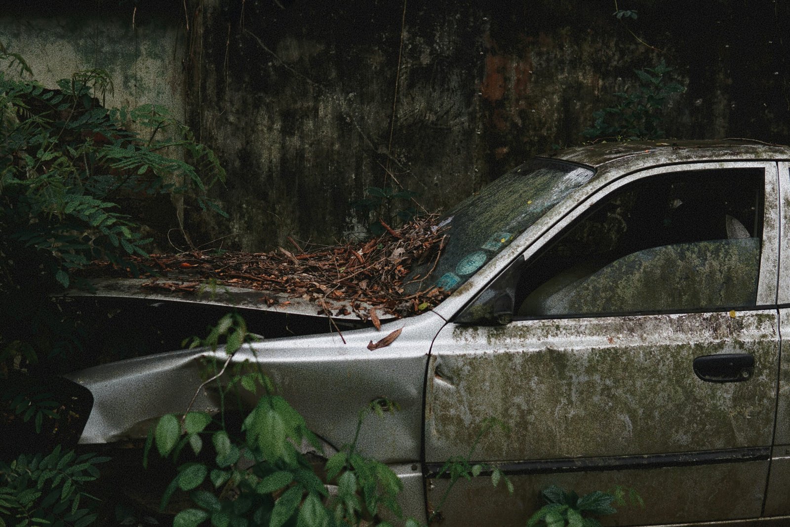 Patikimas automobilių supirkimas Rokiškyje