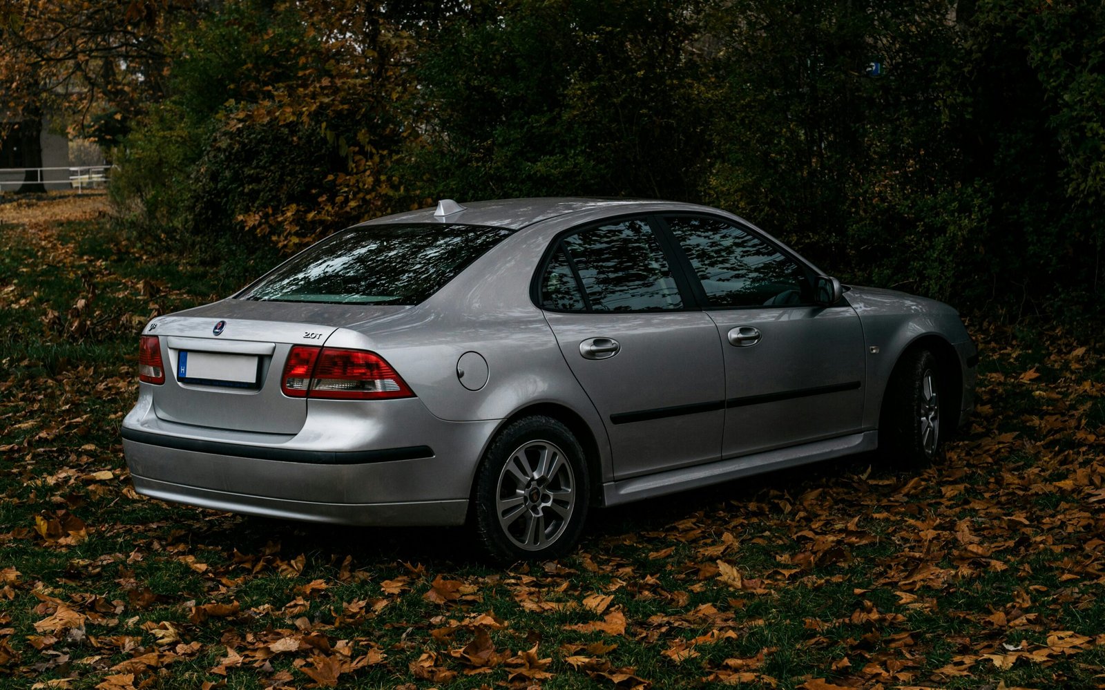 Automobilio pardavimas supirkėjui Pabradėje
