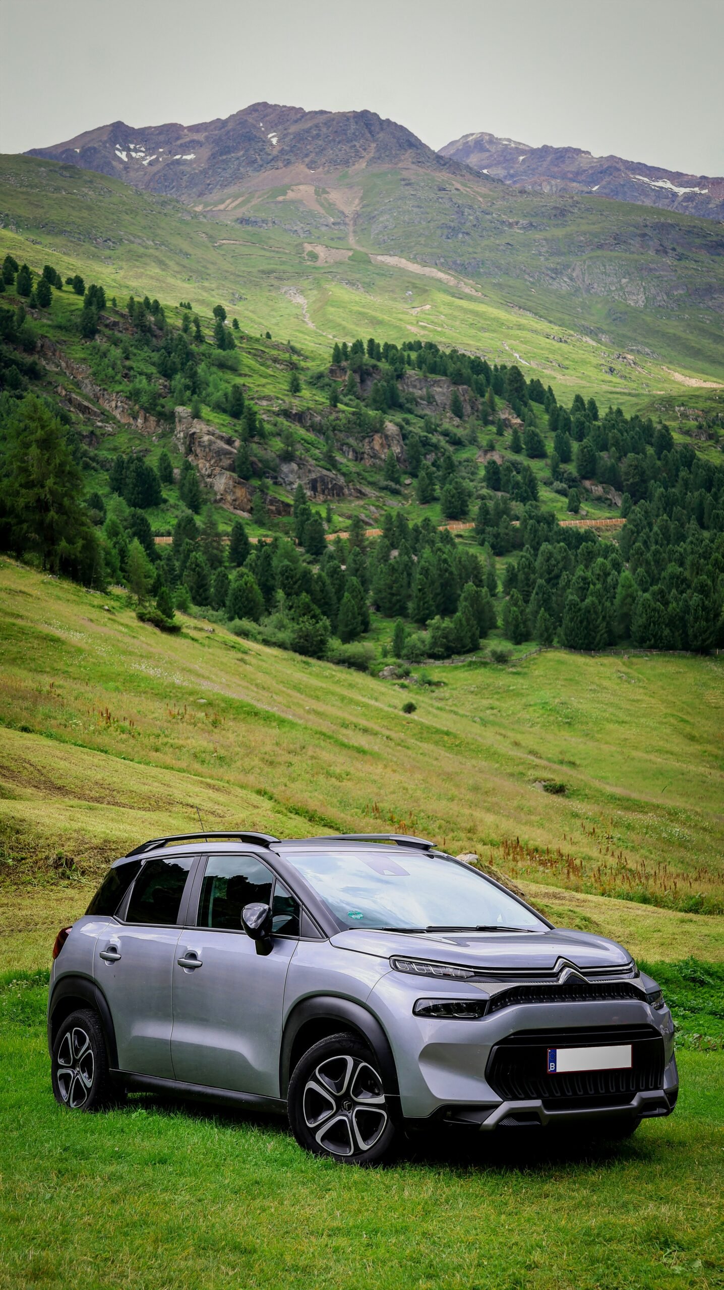 Citroën auto supirkimas – sąžininga kaina ir sklandus procesas.