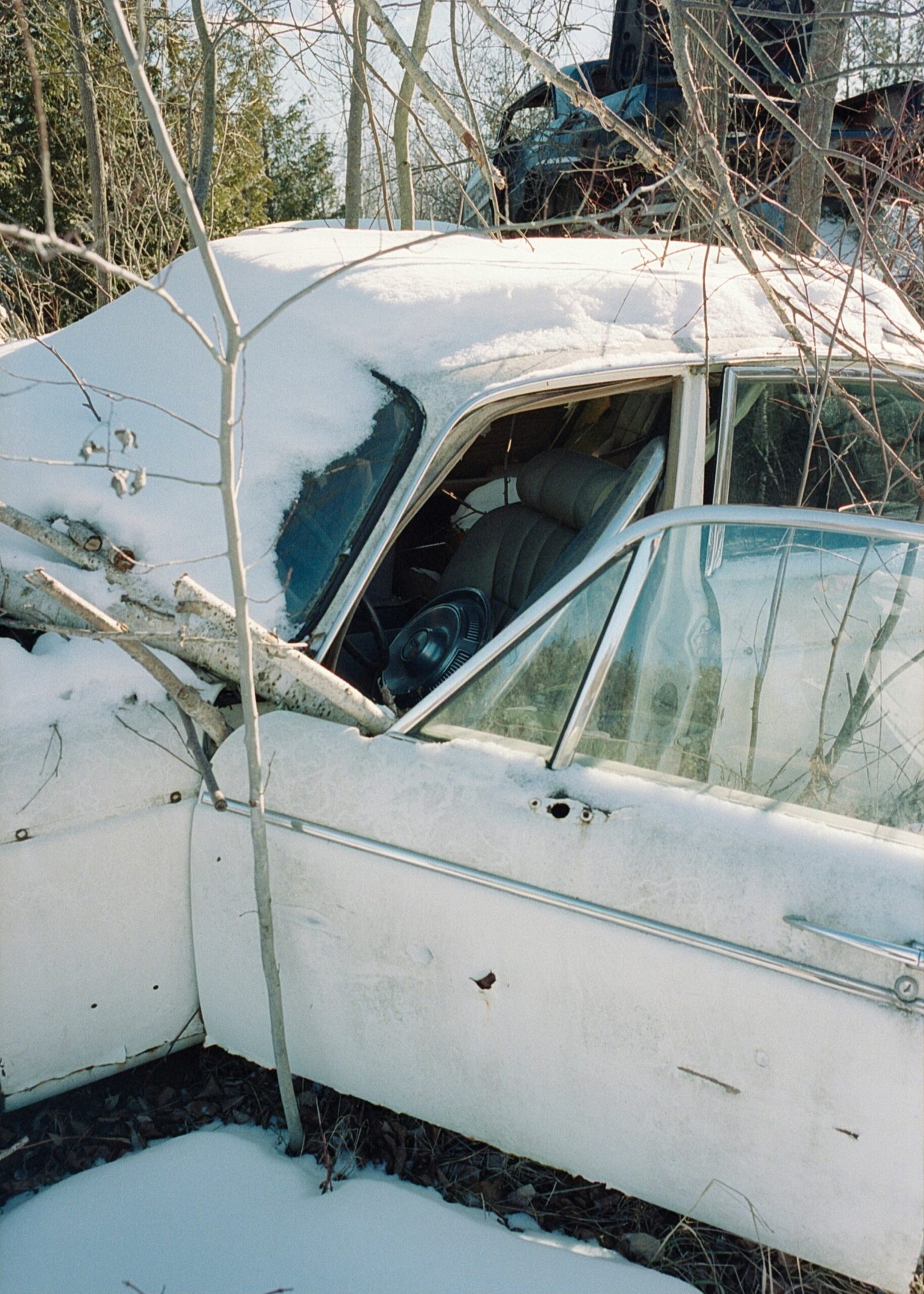 Automobilio pardavimas supirkėjui Užventyje
