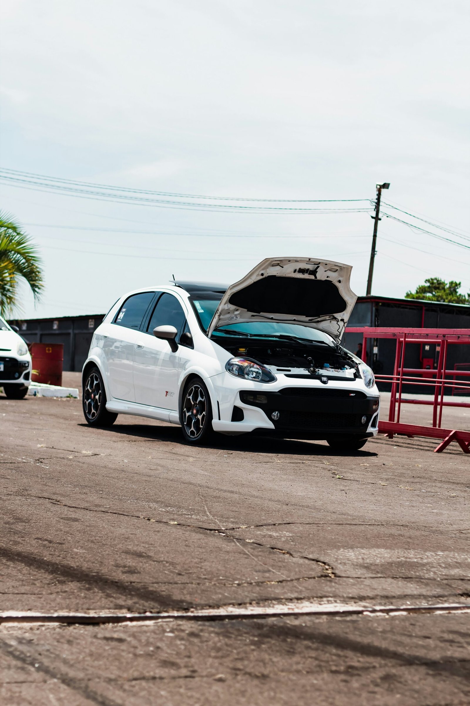 Skubus Fiat automobilių supirkimas