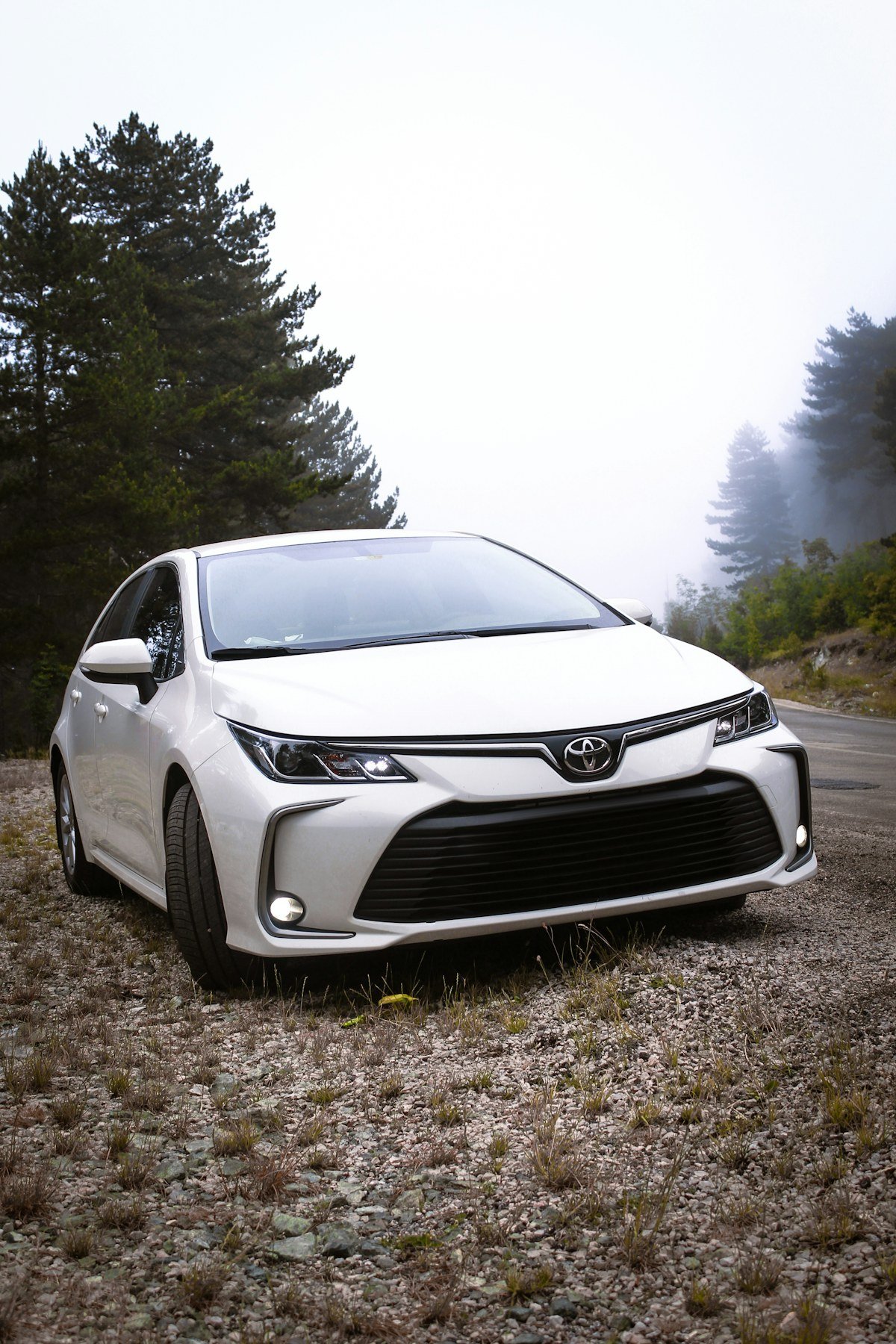 Baltas Toyota automobilis miško keliuke